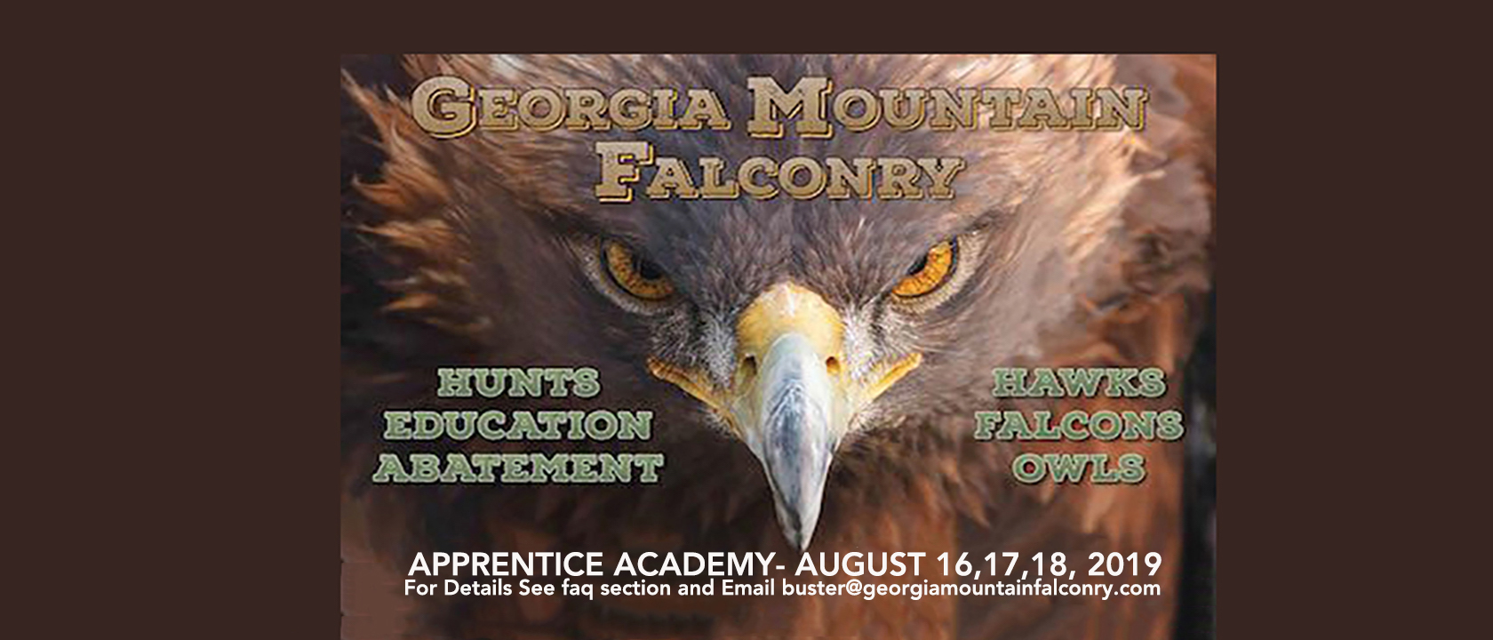 Georgia Mountain Falconry Georgia Mountain Falconry