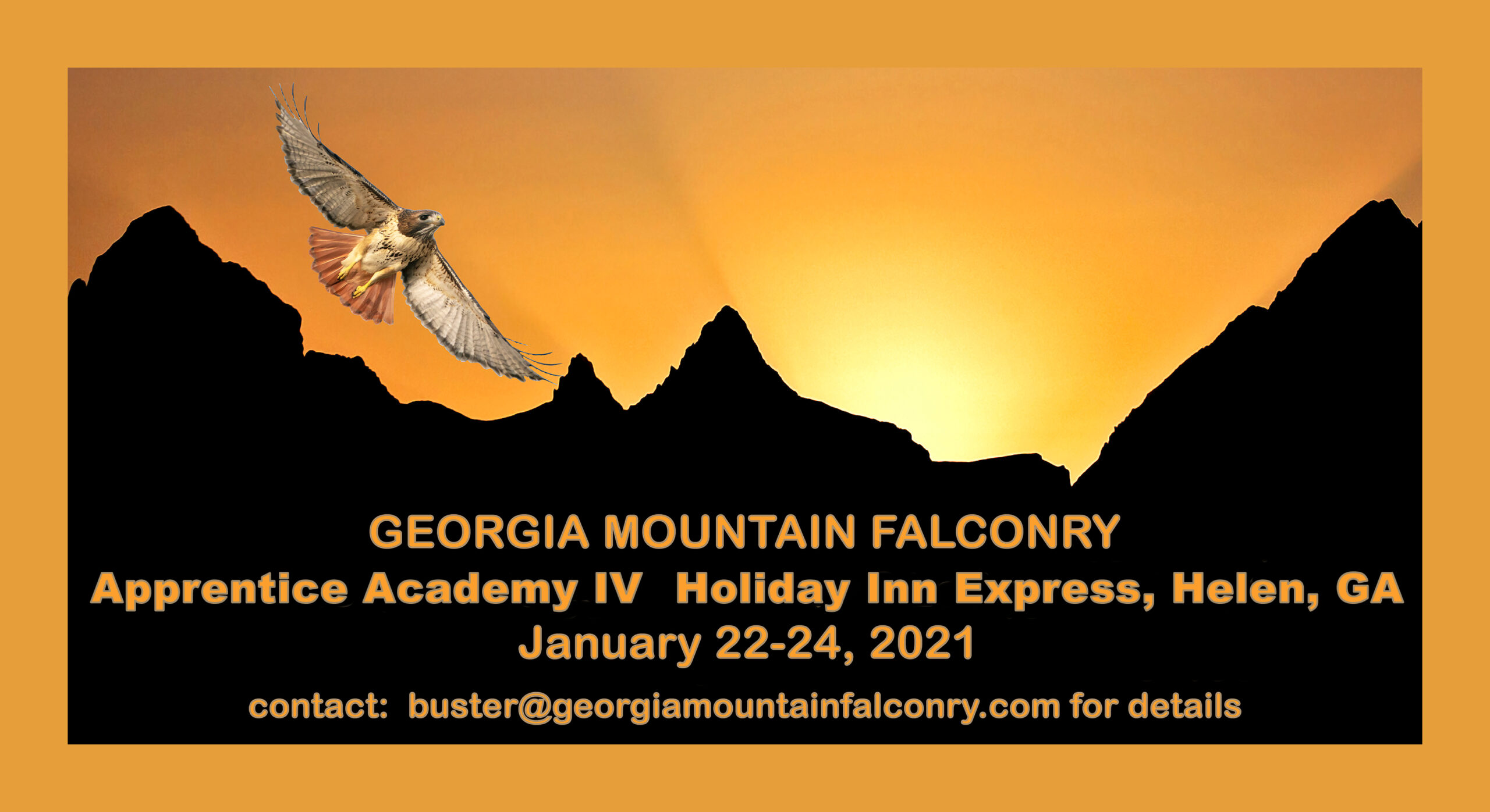 Georgia Mountain Falconry Georgia Mountain Falconry