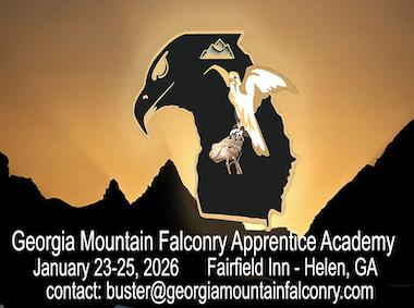 Apprentice Academy Apprentice Academy